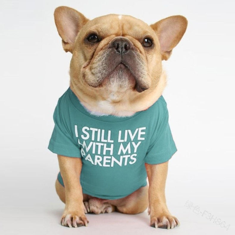 Cute Dog Tshirt for Small Medium Dogs