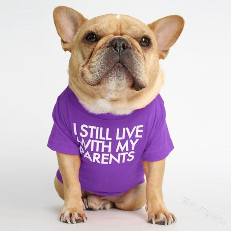 Cute Dog Tshirt for Small Medium Dogs
