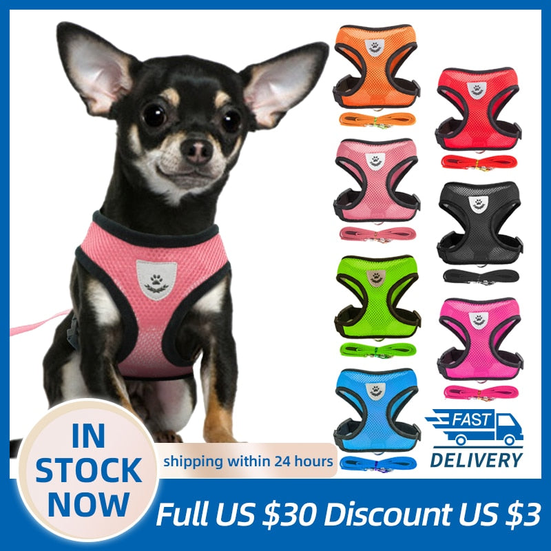 Puppy Harness