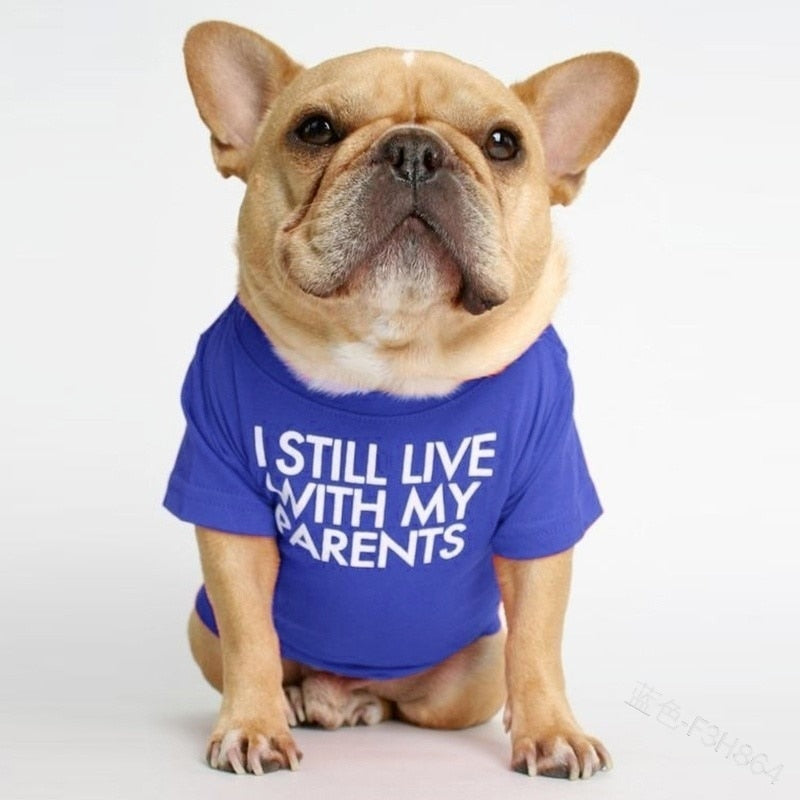 Cute Dog Tshirt for Small Medium Dogs