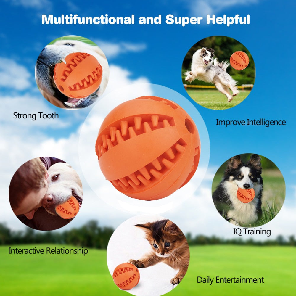 Rubber teeth cleaning chew toy