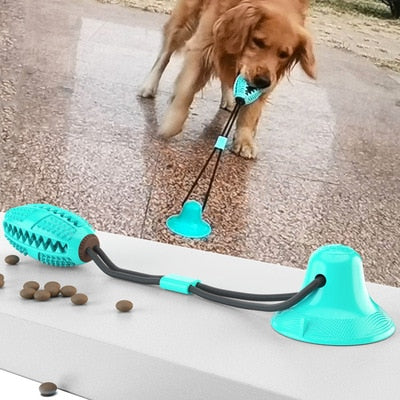 Suction Cup Dog Ball