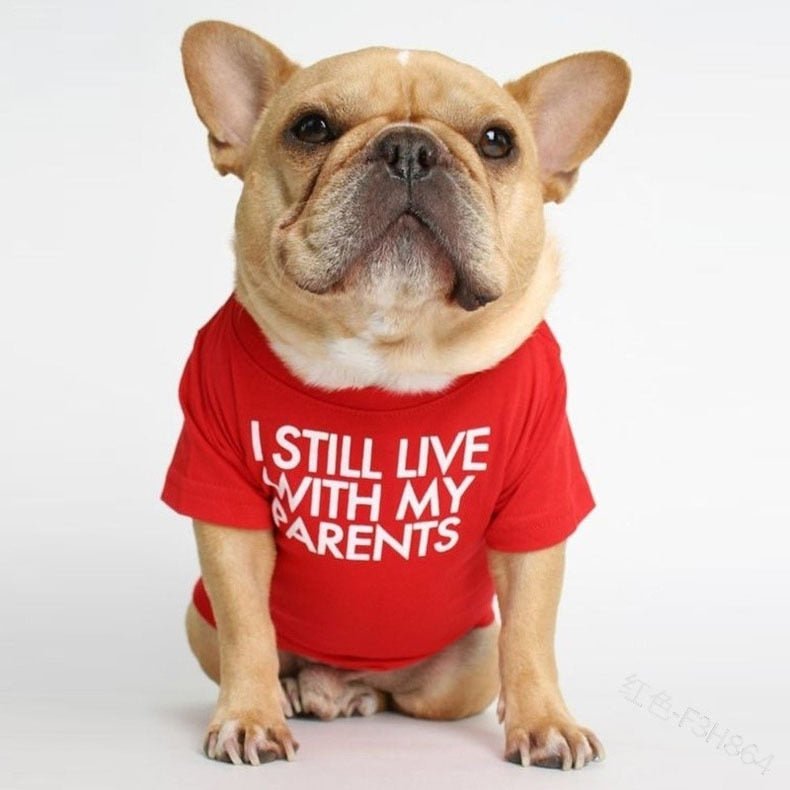 Cute Dog Tshirt for Small Medium Dogs