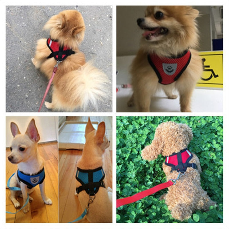 Puppy Harness