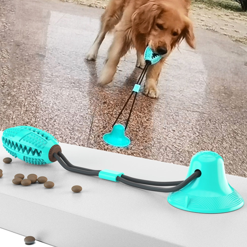 Suction Cup Dog Ball