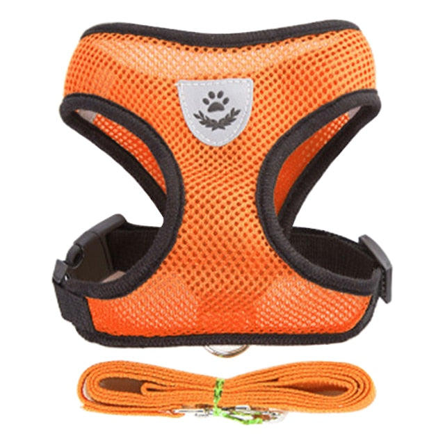 Puppy Harness