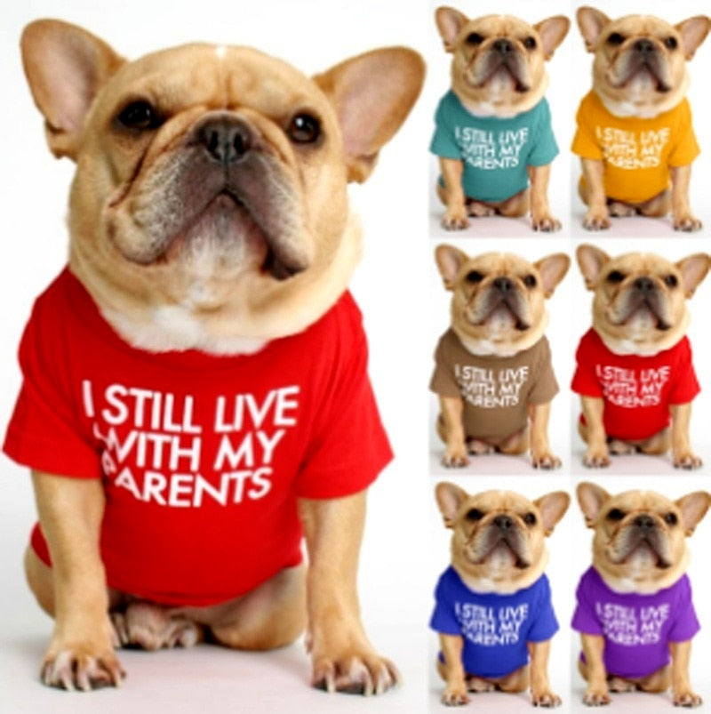 Cute Dog Tshirt for Small Medium Dogs