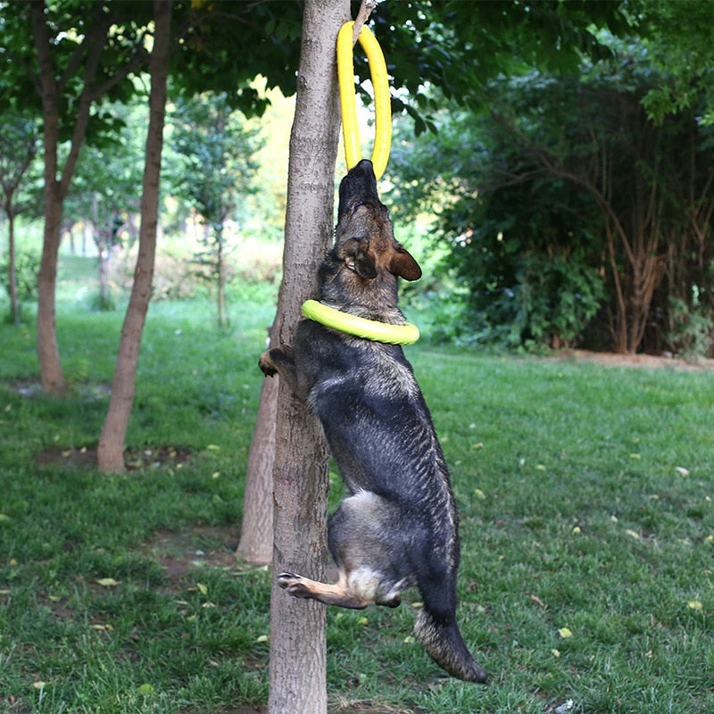 Flying disc dog toy