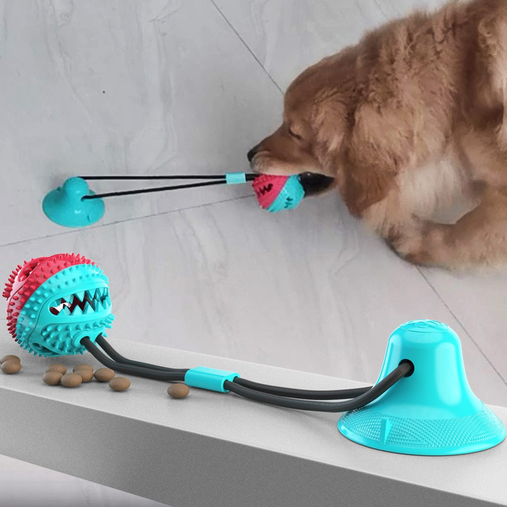 Suction Cup Dog Ball