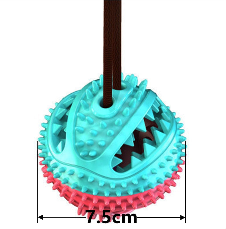 Suction Cup Dog Ball