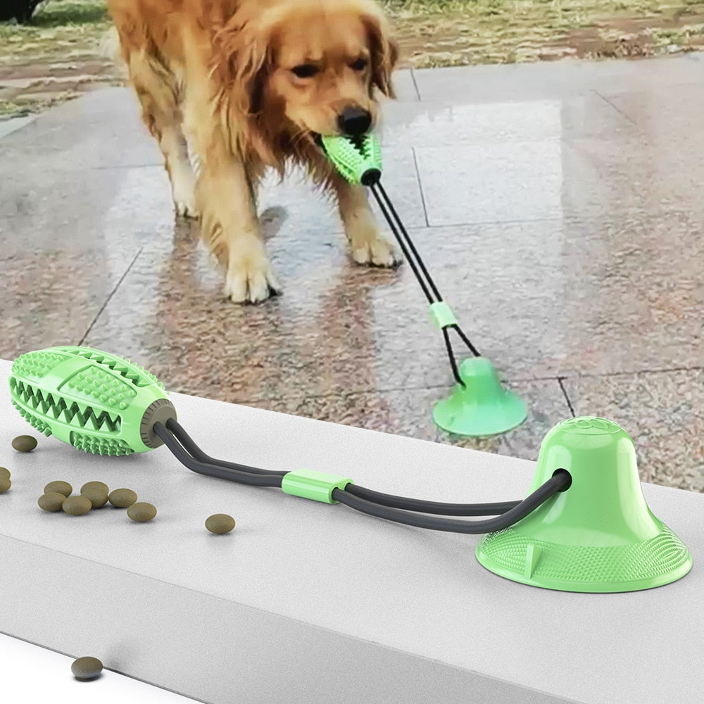 Suction Cup Dog Ball