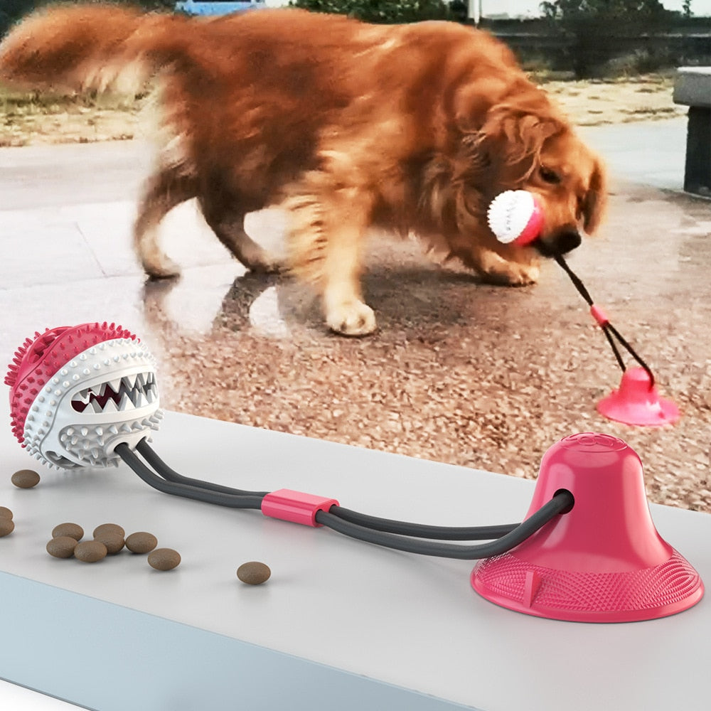 Suction Cup Dog Ball