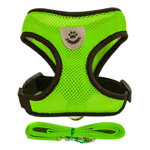 Puppy Harness