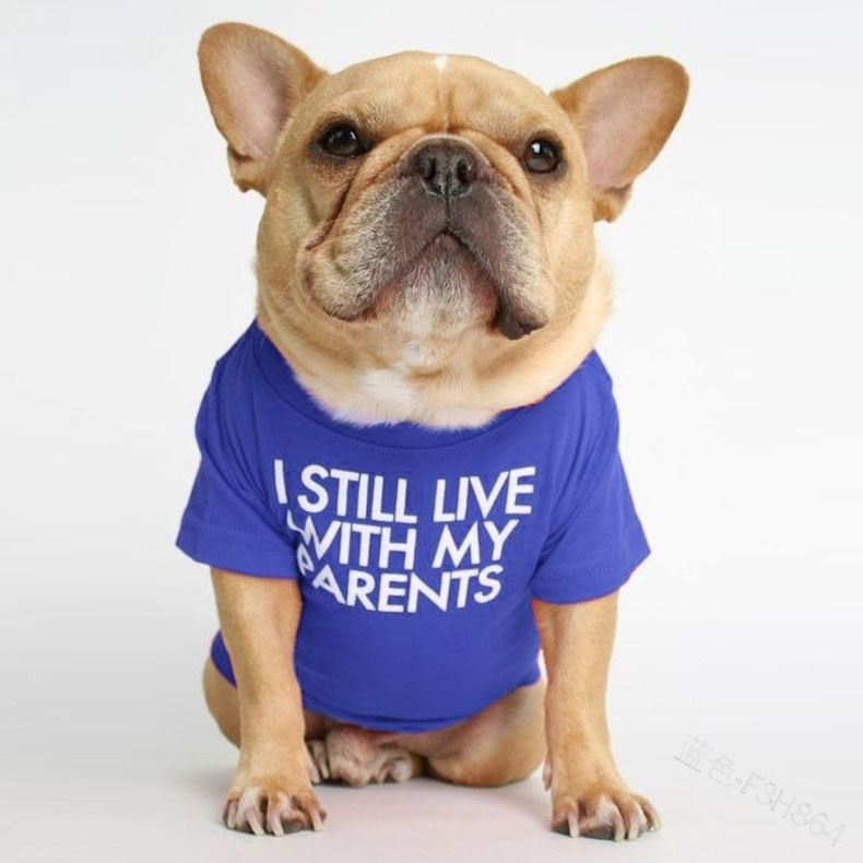 Cute Dog Tshirt for Small Medium Dogs