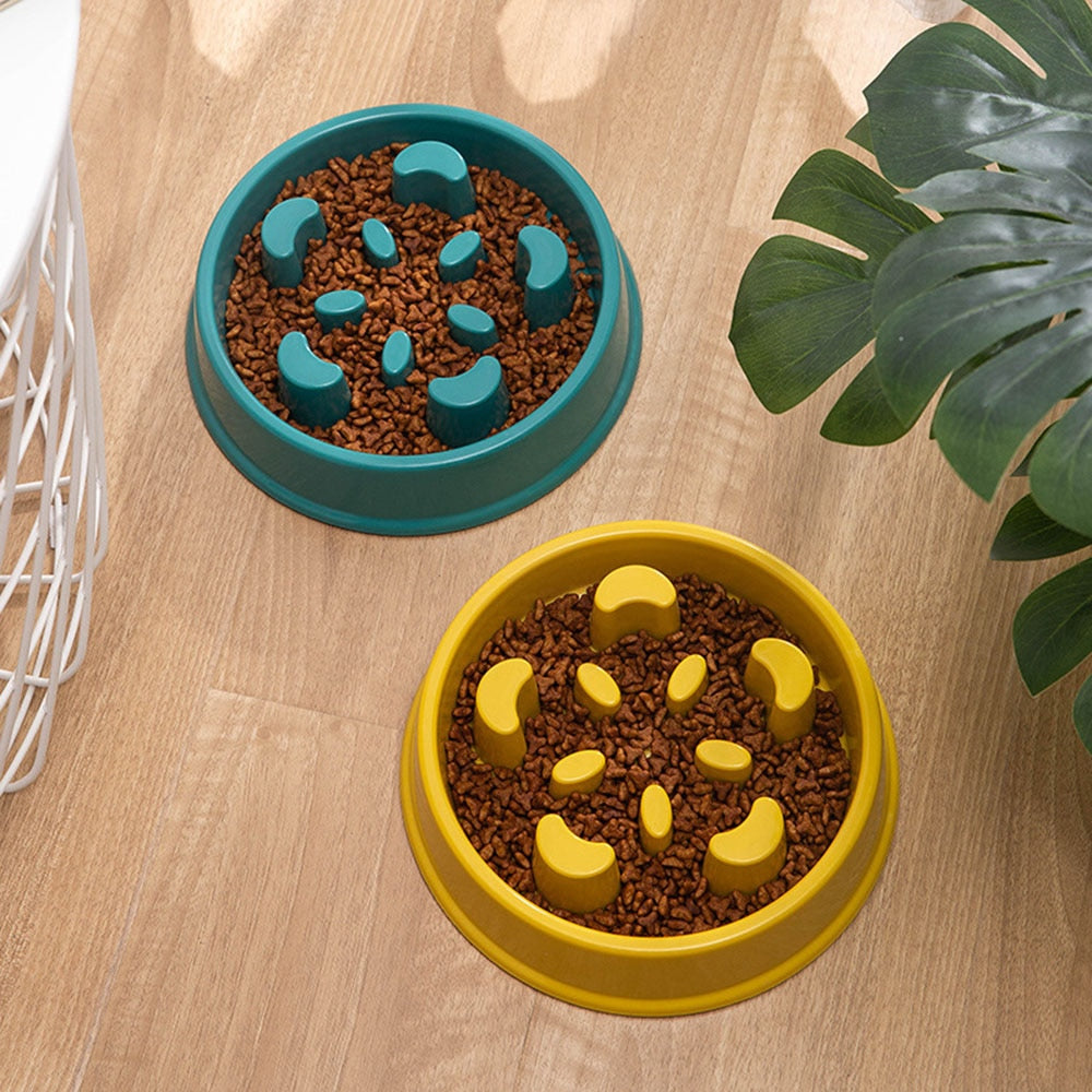 Slow Food Bowl
