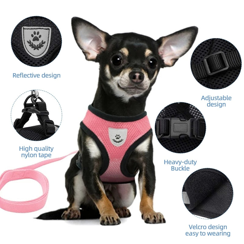Puppy Harness