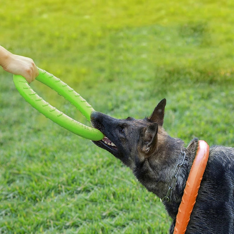 Flying disc dog toy