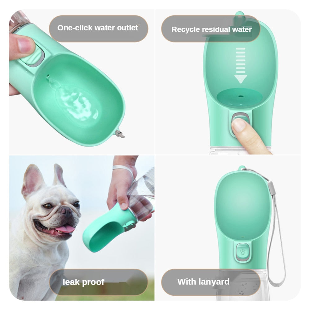 Portable dog water bottle