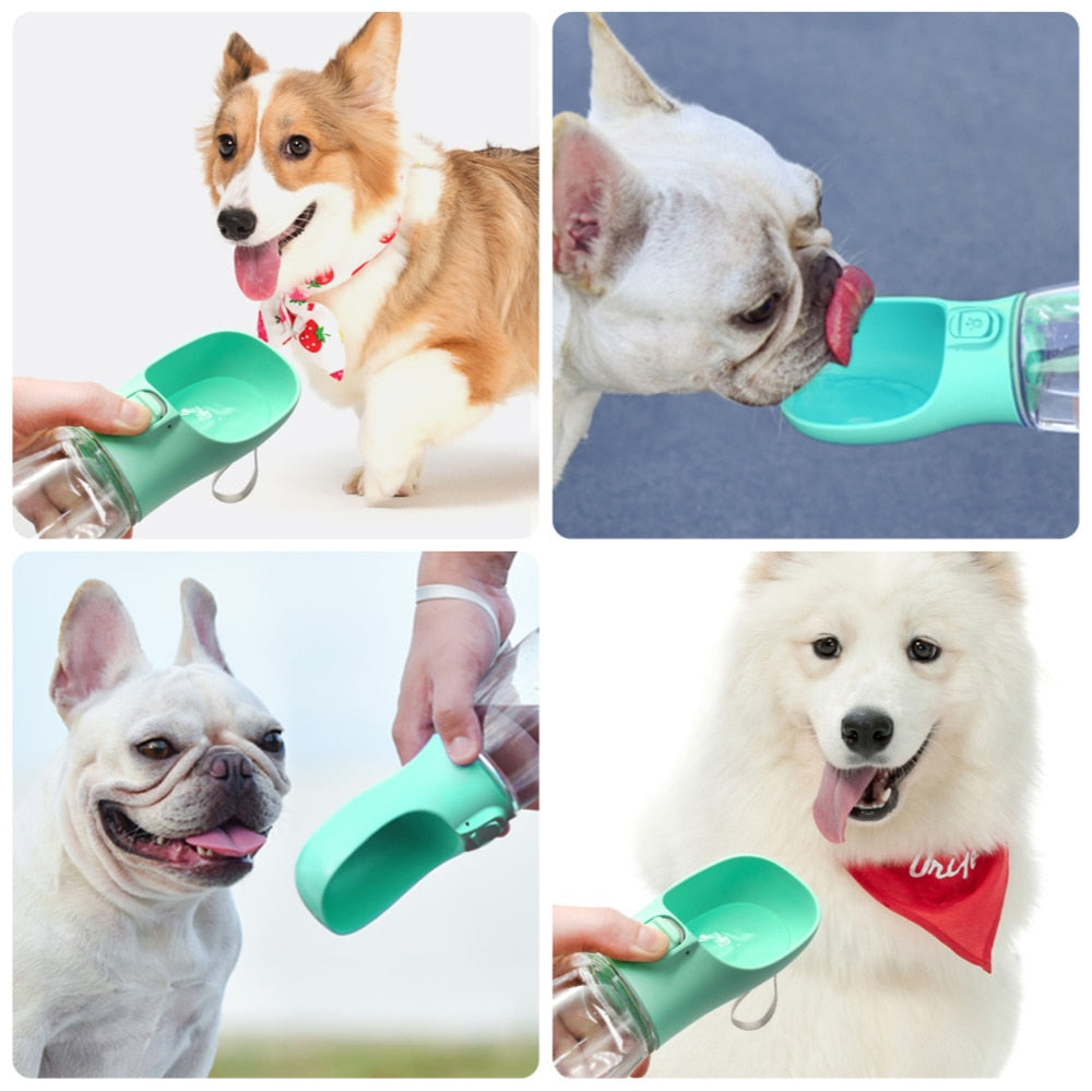 Portable dog water bottle