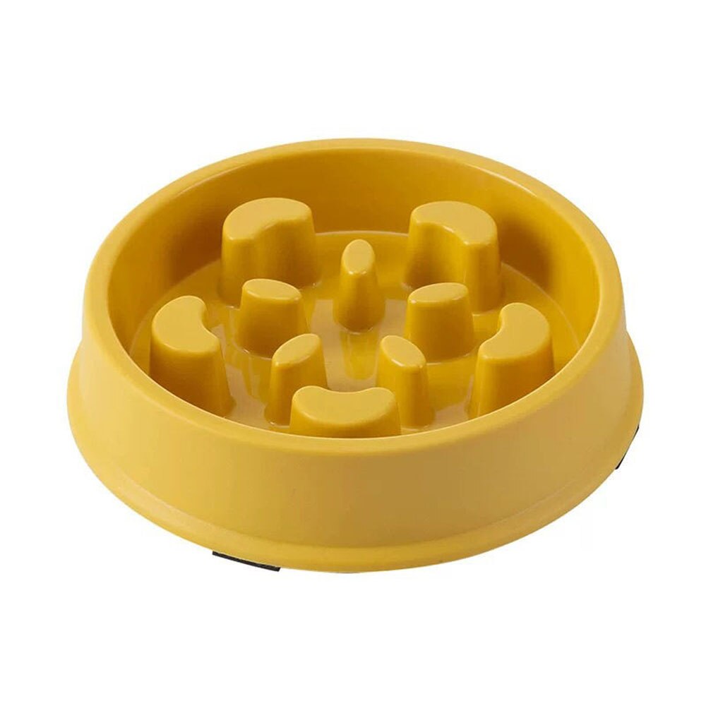 Slow Food Bowl