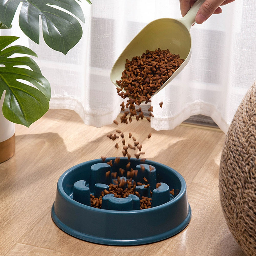 Slow Food Bowl