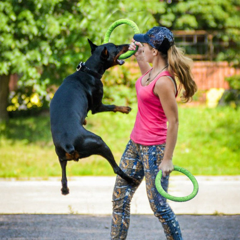 Flying disc dog toy