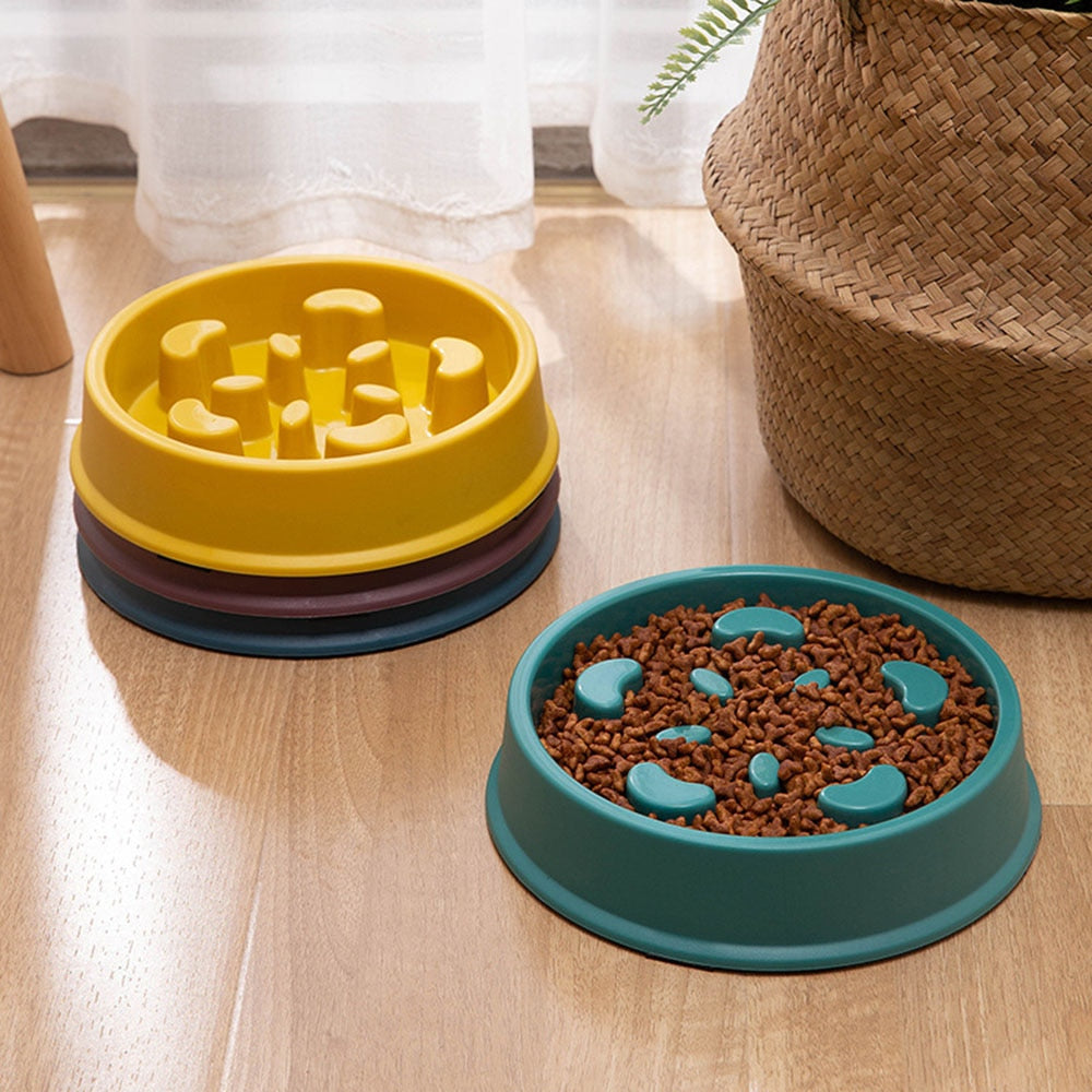 Slow Food Bowl