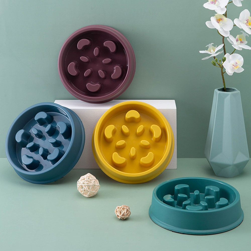 Slow Food Bowl
