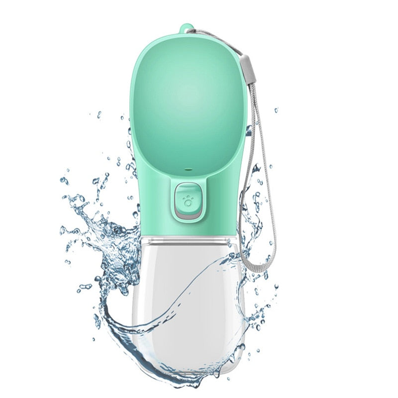 Portable dog water bottle