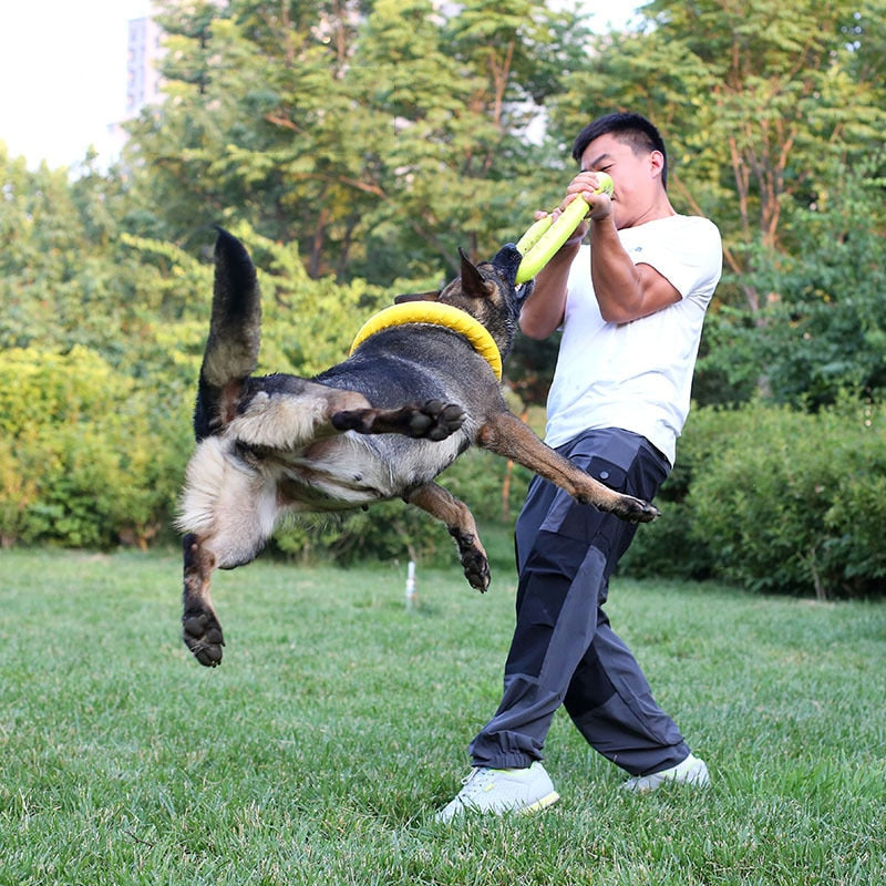 Flying disc dog toy