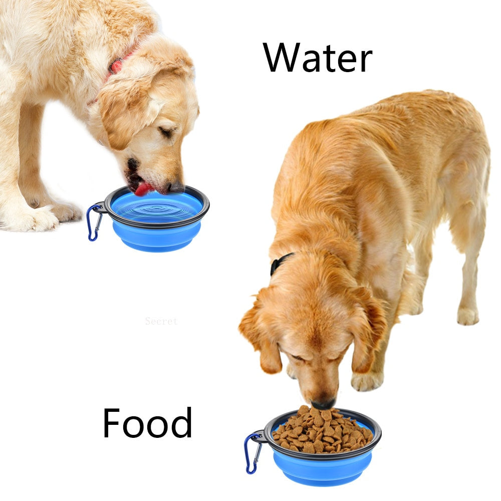 Collapsible water bowl