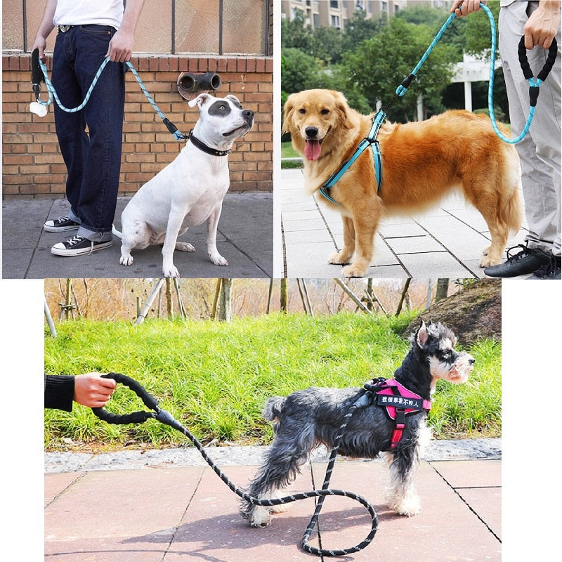 Reflective dog leash