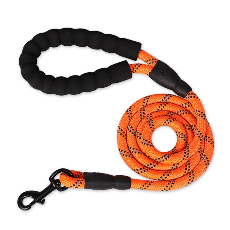 Reflective dog leash