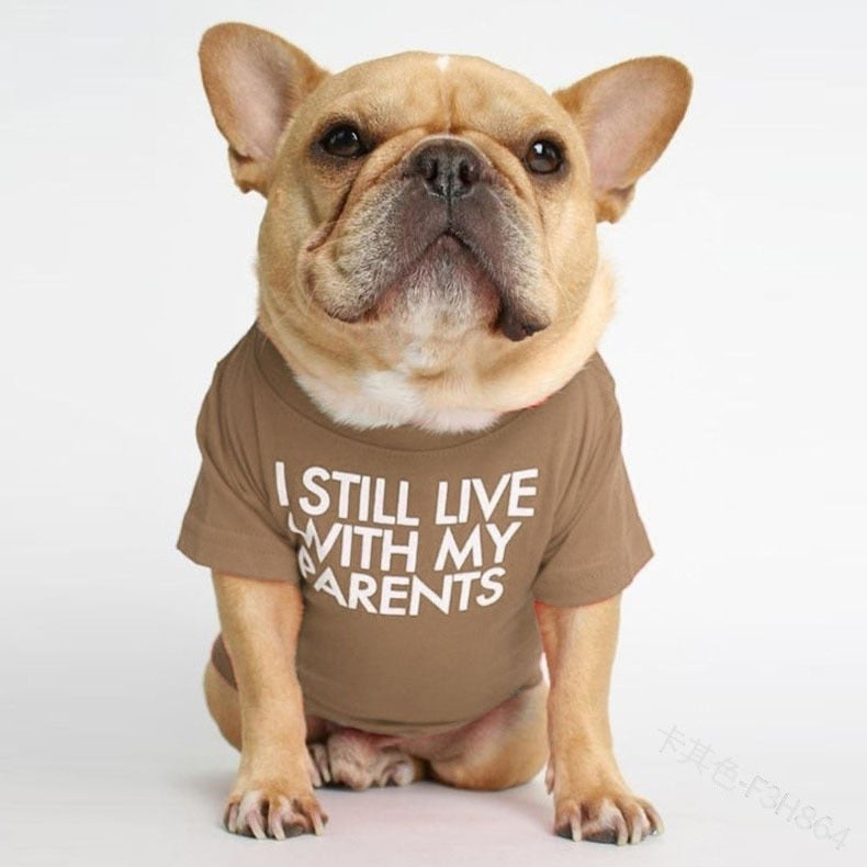 Cute Dog Tshirt for Small Medium Dogs