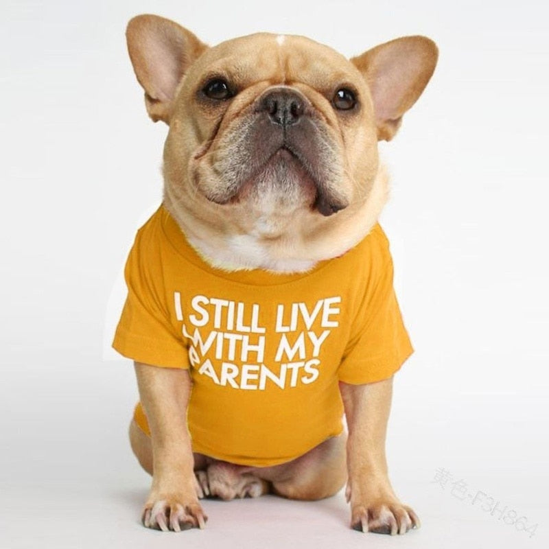 Cute Dog Tshirt for Small Medium Dogs