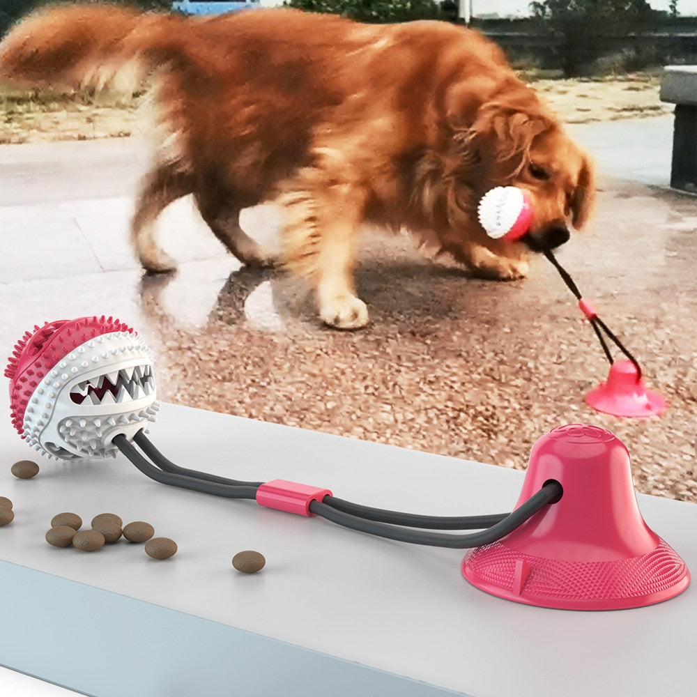 Suction Cup Dog Ball