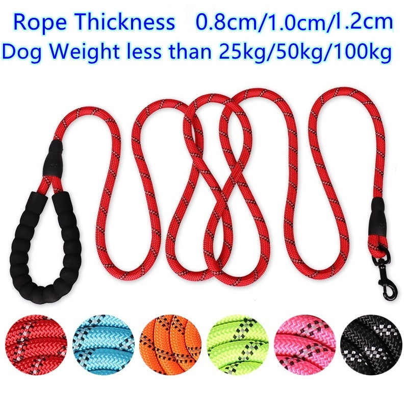 Reflective dog leash